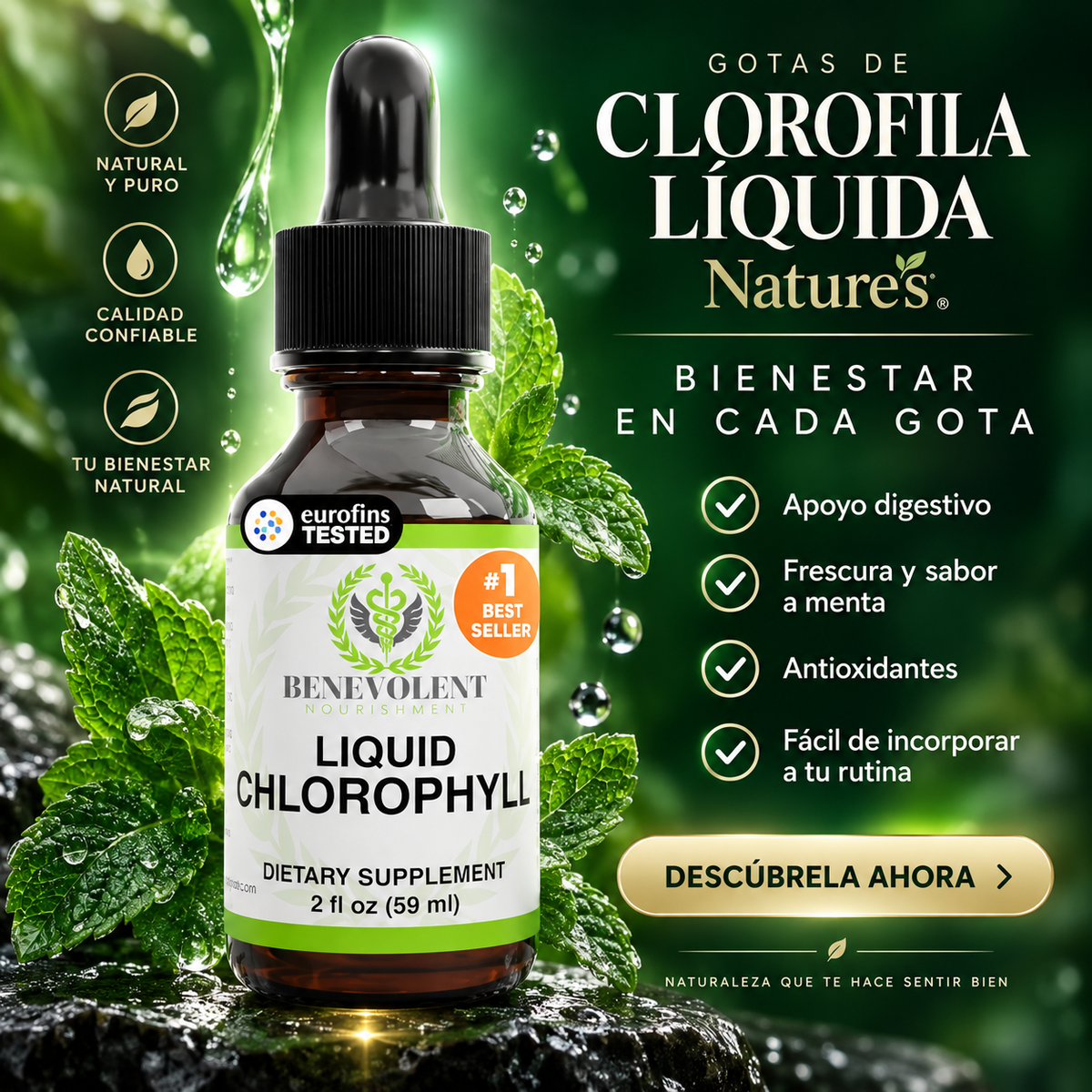 Clorofila Líquida Benevolent Nourishment: Detox y Desodorante Interno